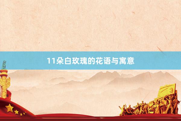 11朵白玫瑰的花语与寓意
