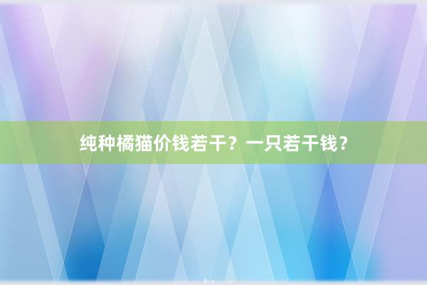 纯种橘猫价钱若干？一只若干钱？