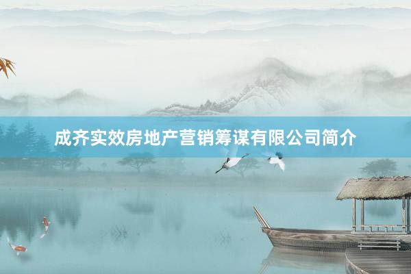 成齐实效房地产营销筹谋有限公司简介